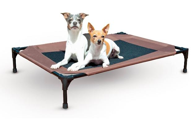 K&H Original Pet Cot, good for outdoors or keeping cool