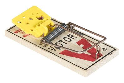 Victor Easy Set Mouse Trap, an affordable classic