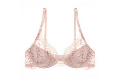 Journelle Anais Plunge Bra, a stunning lace bra