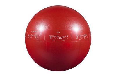 GoFit Pro Stability Ball, comes with a pump