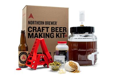 Northern Brewer Craft Beer Making Kit With Siphonless Fermenter, the best 1-gallon kit