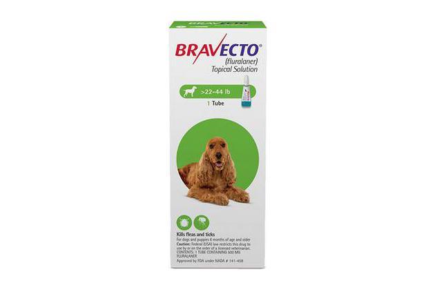 Bravecto Topical Solution for Dogs (22 to 44 pounds), our favorite topical for dogs