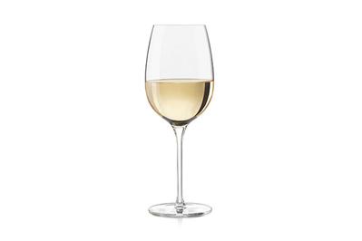 Libbey Signature Kentfield Estate All-Purpose Wine Glass, the best wine glass
