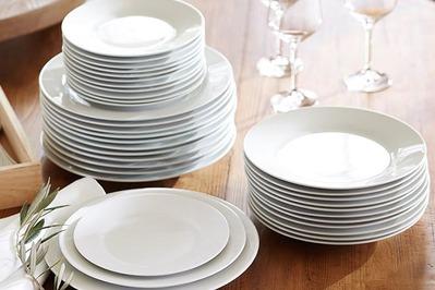 Pottery Barn Caterer’s Dinner Plate Set, the best backup plates