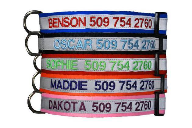 GoTags Embroidered Reflective Dog Collar with Side-Release Plastic Buckle, more reflective, less warranty