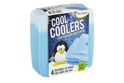 Fit & Fresh Cool Coolers, a smaller option