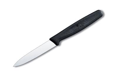 Victorinox 3¼-Inch Paring Knife, the best paring knife