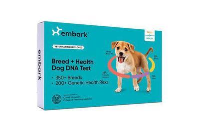 Embark Breed + Health Kit, the best dog dna test