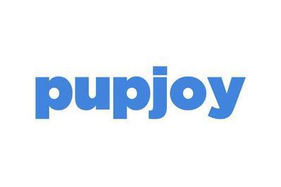 PupJoy Power Chewers Box, for dogs who love to chew—and destroy—everything
