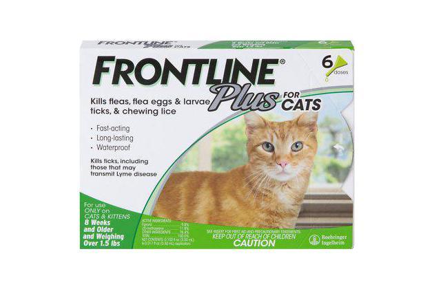 Frontline Plus for Cats (over 1.5 pounds), no prescription required