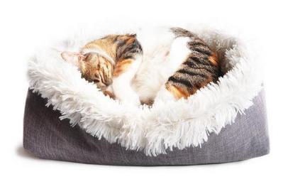 4Claws Furry Pet Bed/Mat, the softest bed we tested