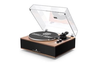 Angels Horn H019, the best all-in-one record player