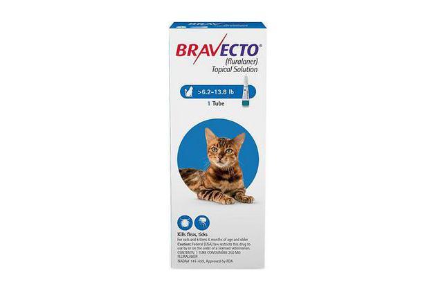 Bravecto Topical Solution for Cats (6.2 to 13.8 pounds), our favorite topical for cats