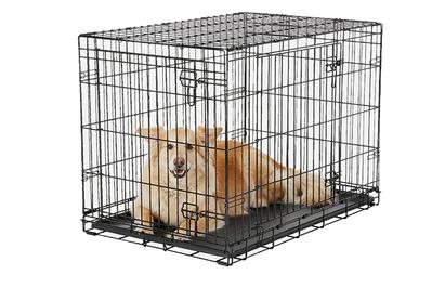 Frisco Heavy Duty Fold & Carry Double Door Collapsible Wire Dog Crate, durable but heavy to carry